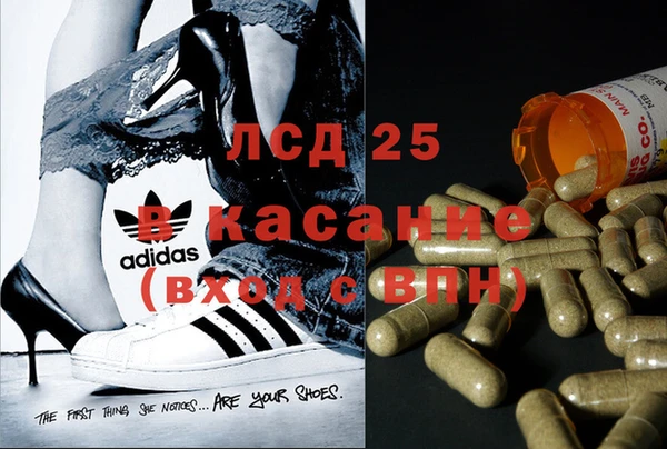 шишки Алексеевка
