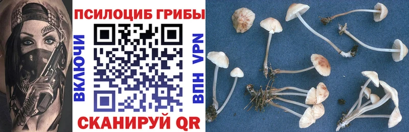 Псилоцибиновые грибы MAGIC MUSHROOMS  kraken ССЫЛКА  Елизаветинская 